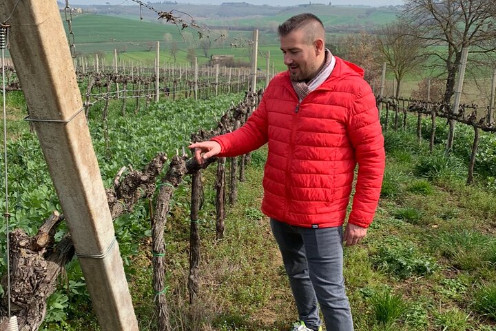 Wine and olive oil tastings with the locals