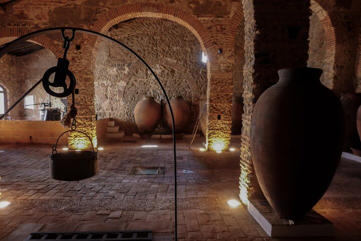Guided Tour to Adega Museum Cella Vinaria Antiqua