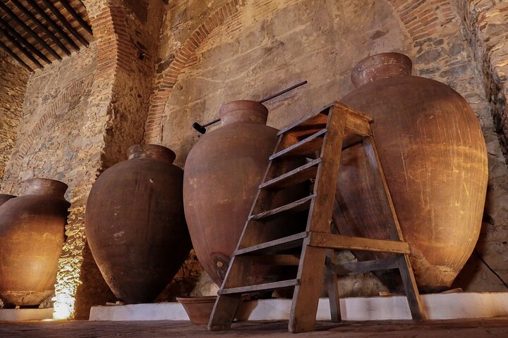 Guided Tour to Adega Museum Cella Vinaria Antiqua