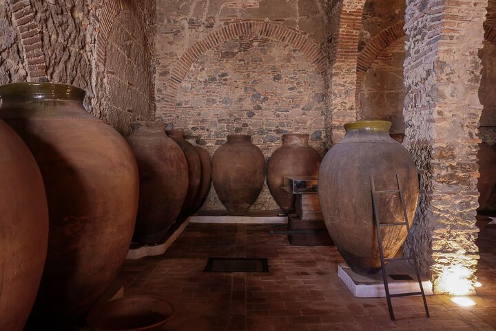 Guided Tour to Adega Museum Cella Vinaria Antiqua