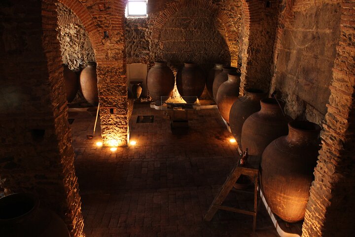 Guided Tour to Adega Museum Cella Vinaria Antiqua
