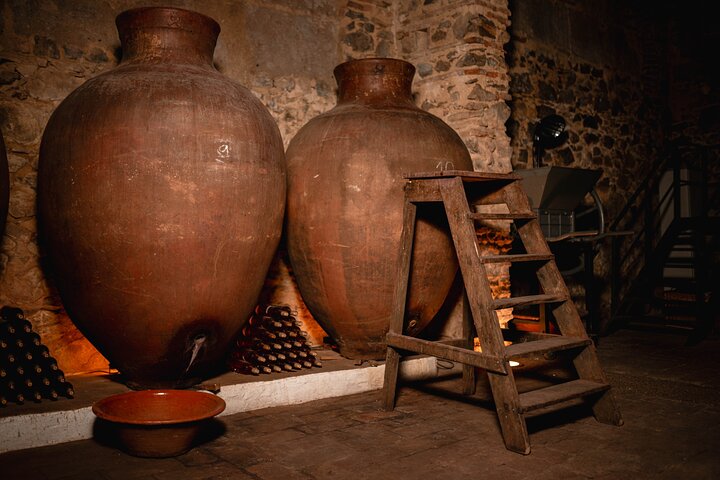Guided Tour to Adega Museum Cella Vinaria Antiqua