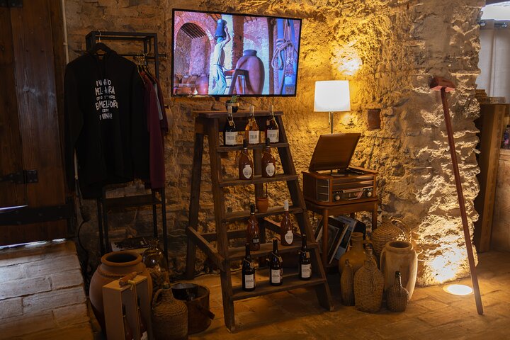 Guided Tour to Adega Museum Cella Vinaria Antiqua