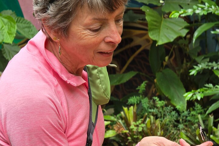 Full-Day Mindo Cloud Forest Tour Birdwatching Waterfalls and Hike