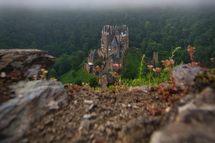 Koblenz: Private Eltz Castle tour with Roundtrip Transport