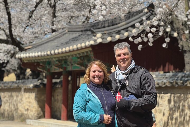 [Hotel Pick-up] Gyeongju UNESCO Private Tour with Local Guide