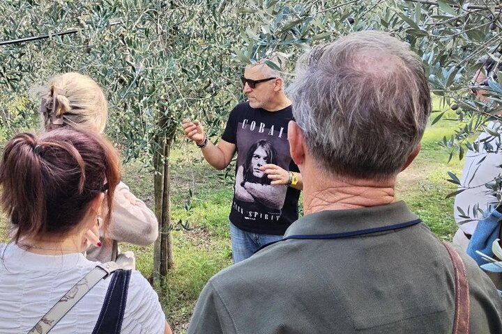 Family-Friendly Tuscany Day Tour for Wine Lovers and Non-Drinkers