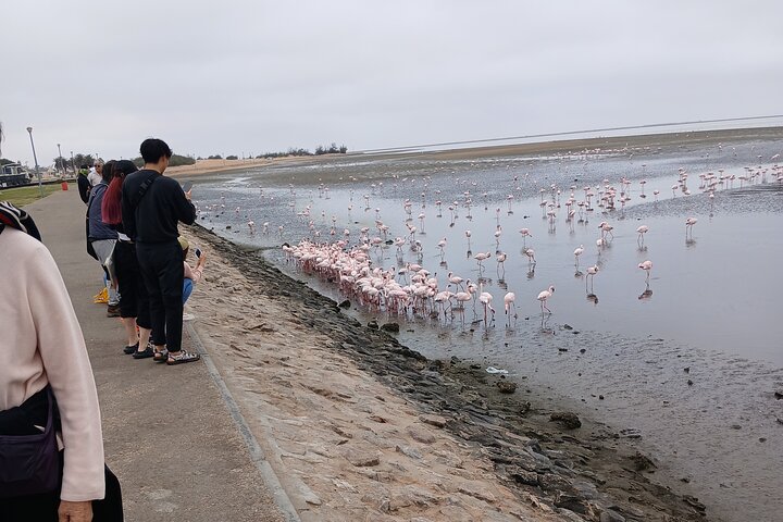 Walvis Bay and Swakopmund Treasures: Namibia’s Coastal Highlights