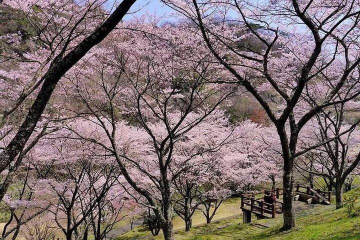 North Ibaraki Tour