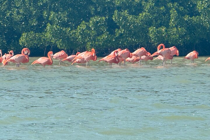 boat tour whit Martin Aguiñaga