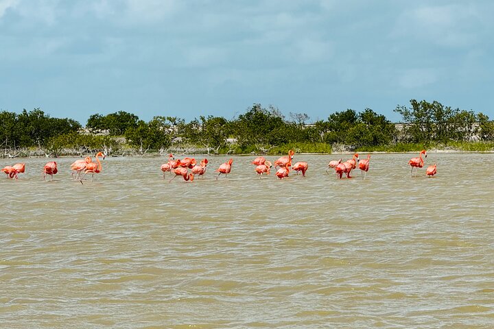 boat tour whit Martin Aguiñaga