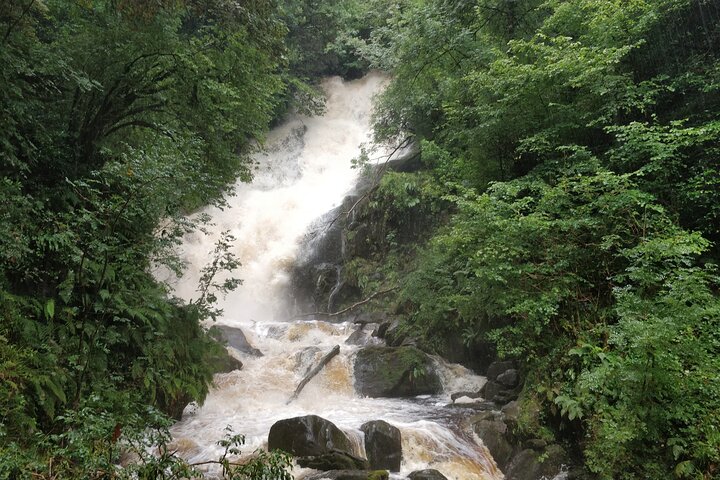 Ring of Kerry and Kerry Cliffs Private Tour
