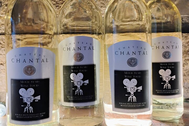 NON-BUS 4 Winery Traverse Wine Tour on Old Mission - ICE COLD AC