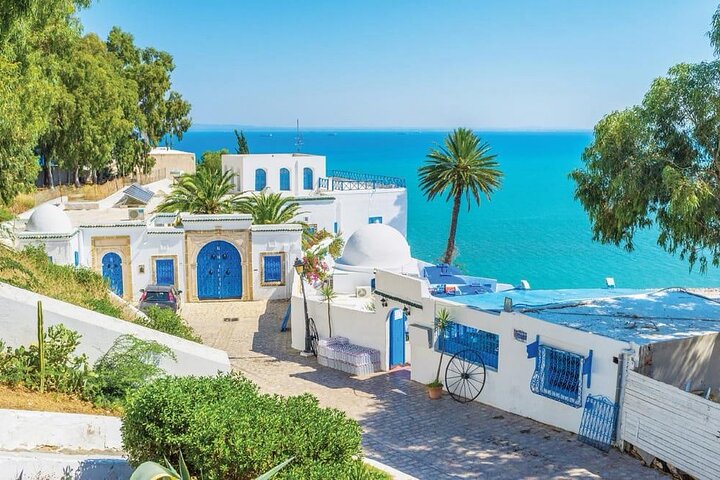 Private Excursions from the Port of La Goulette