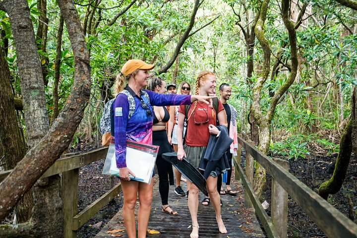 Ocean Safari Great Barrier Reef Experience in Cape Tribulation
