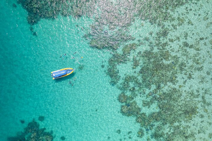 Ocean Safari Great Barrier Reef Experience in Cape Tribulation