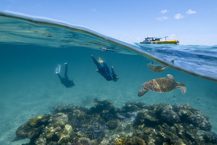 Ocean Safari Great Barrier Reef Experience in Cape Tribulation