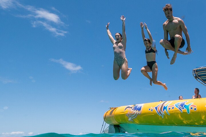 Ocean Safari Great Barrier Reef Experience in Cape Tribulation