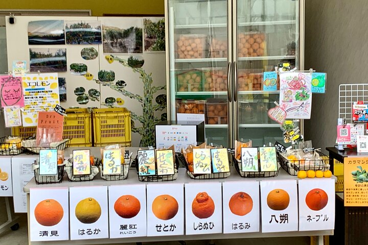 Shimanami Kaido, 1Day Relaxed Island Hopping Cycling Tour