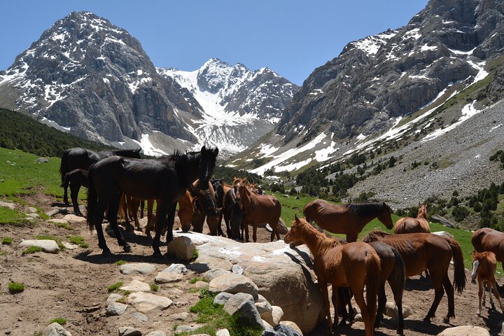 One day Trek in Osh to Sacred Sites and Panoramic Views