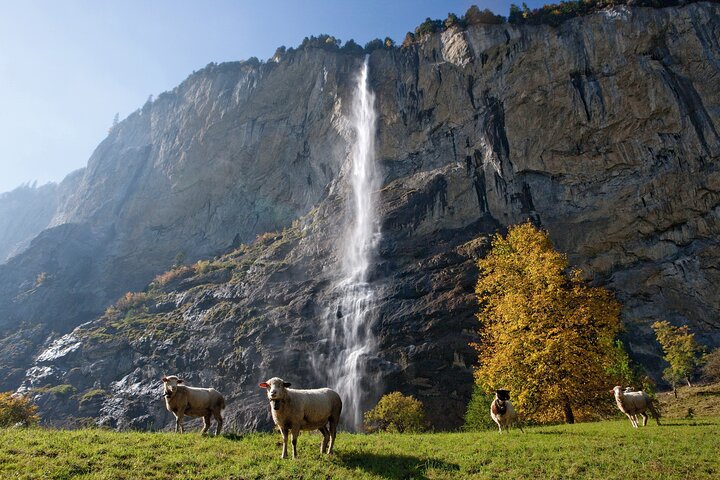 Zurich: Grindelwald, Interlaken & Lauterbrunnen Guided Day Trip