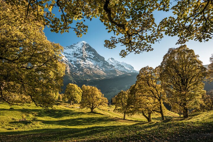 Zurich: Grindelwald, Interlaken & Lauterbrunnen Guided Day Trip