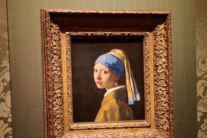 Private Guided City Tour of The Hague & Mauritshuis Museum Entry
