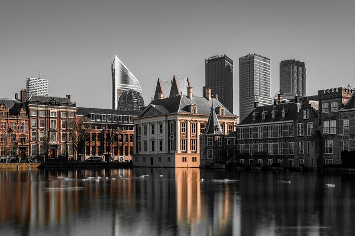 Private Guided City Tour of The Hague & Mauritshuis Museum Entry