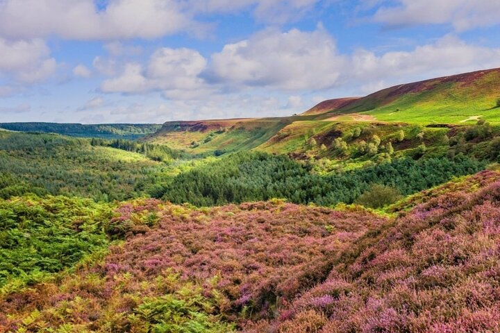 Nth York Moors Steam Train (incl) & Whitby Small Group Day Trip.