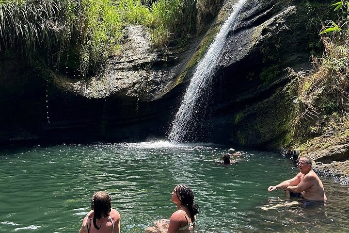 Full-Day Tour: Concord Waterfall, Chocolate Factory, Rum Distillery, Grand Etang