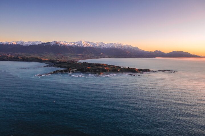 Kaikōura Whale Watching - 1hr 20min Ultimate Adventure