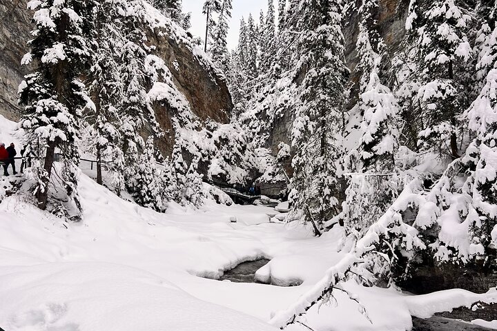 Lake Louise, Moraine, Emerald Lake, Johnston Canyon, Banff Town