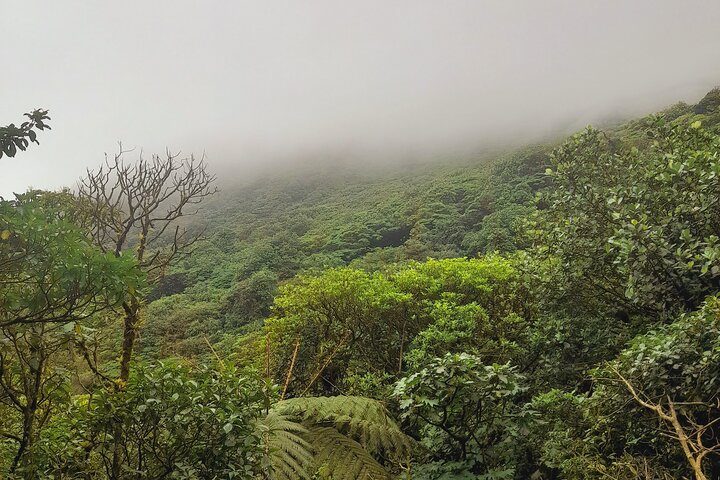 Mombacho Volcano Trail and Ziplining Adventure!!