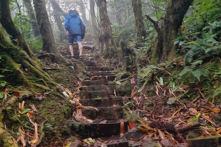 Mombacho Volcano Trail and Ziplining Adventure!!