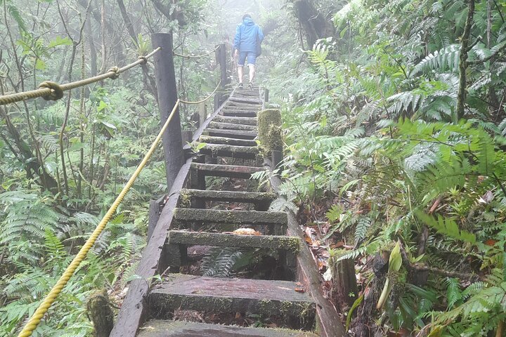 Mombacho Volcano Trail and Ziplining Adventure!!