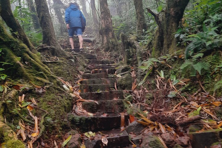 Mombacho Volcano Trail and Ziplining Adventure!!
