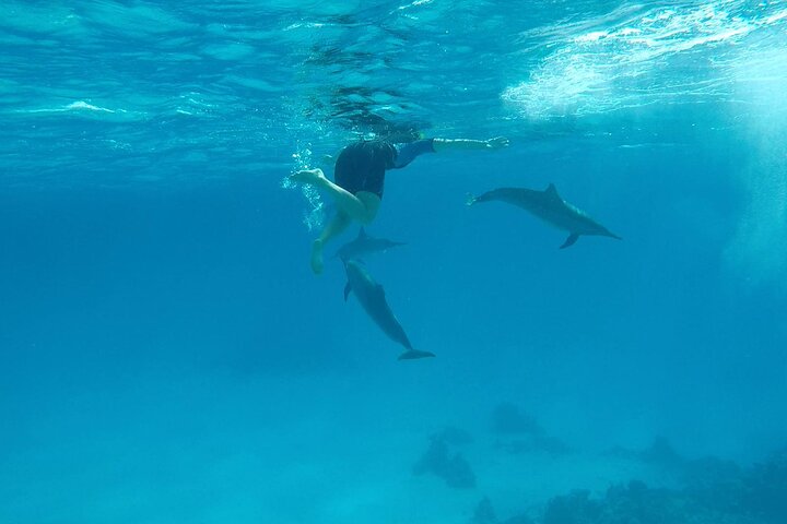 Sataya Dolphin House Adventure by Luxury Boat with Lunch