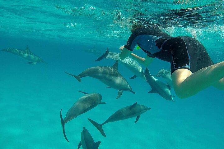 Sataya Dolphin House Adventure by Luxury Boat with Lunch