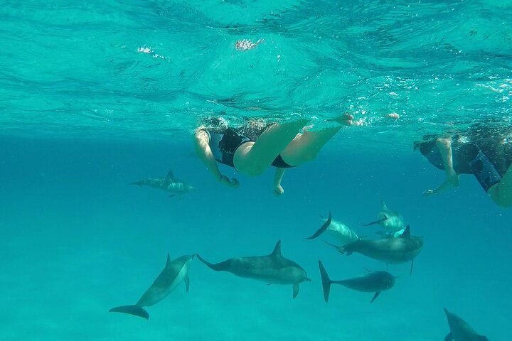 Sataya Dolphin House Adventure by Luxury Boat with Lunch