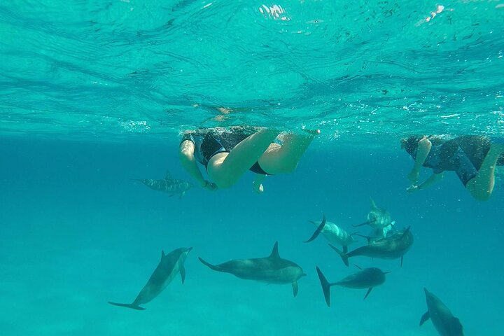Sataya Dolphin House Adventure by Luxury Boat with Lunch