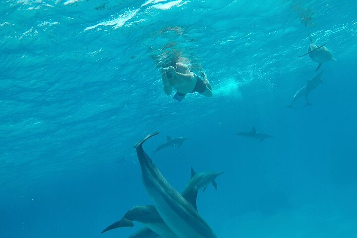 Sataya Dolphin House Adventure by Luxury Boat with Lunch