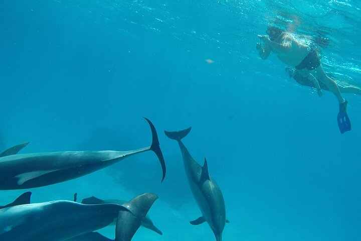 Sataya Dolphin House Adventure by Luxury Boat with Lunch