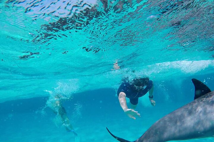 Sataya Dolphin House Adventure by Luxury Boat with Lunch