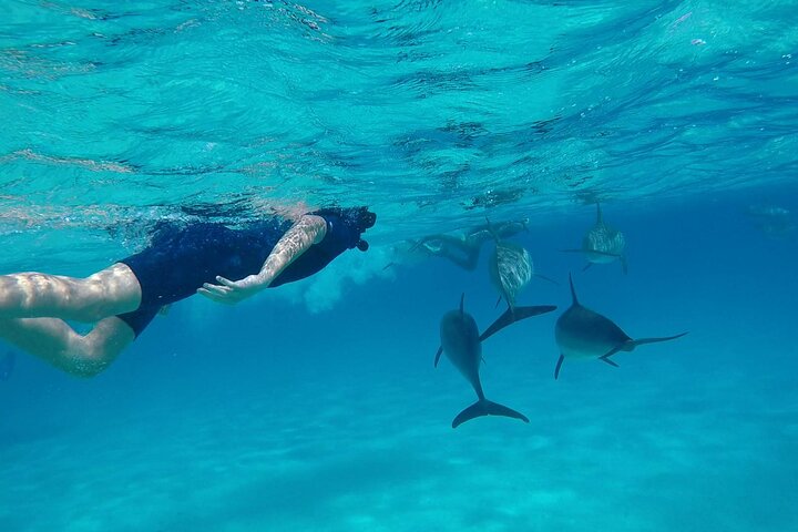 Sataya Dolphin House Adventure by Luxury Boat with Lunch