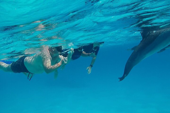 Sataya Dolphin House Adventure by Luxury Boat with Lunch