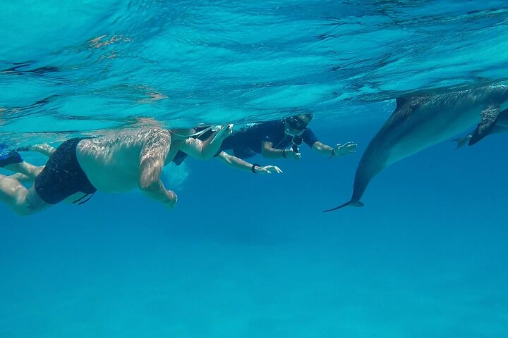 Sataya Dolphin House Adventure by Luxury Boat with Lunch
