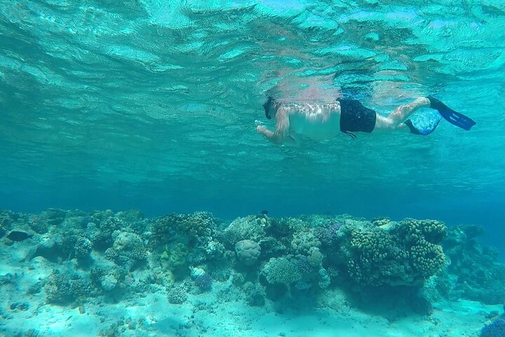 Sataya Dolphin House Adventure by Luxury Boat with Lunch