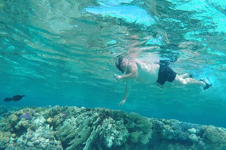 Sataya Dolphin House Adventure by Luxury Boat with Lunch