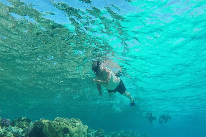 Sataya Dolphin House Adventure by Luxury Boat with Lunch