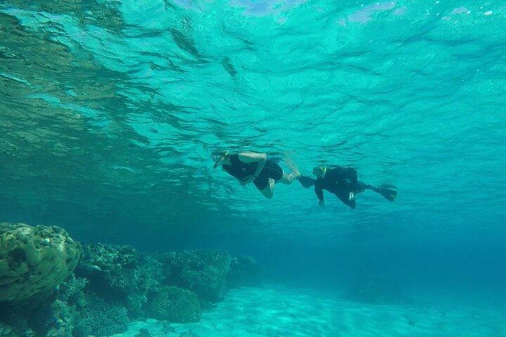 Sataya Dolphin House Adventure by Luxury Boat with Lunch